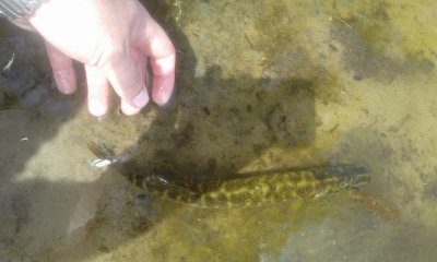 20170617_111645.jpg