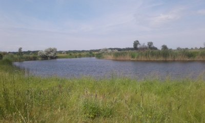 20170617_112244.jpg