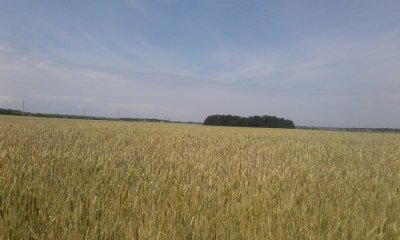 20170617_113033.jpg