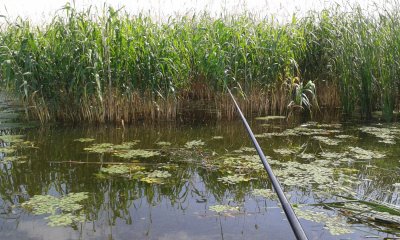 20170701_094304.jpg