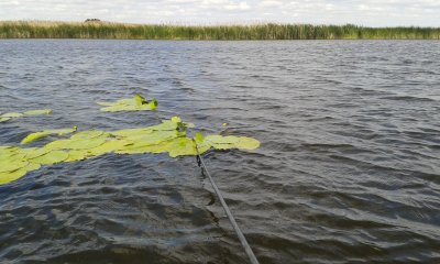 20170704_111719.jpg