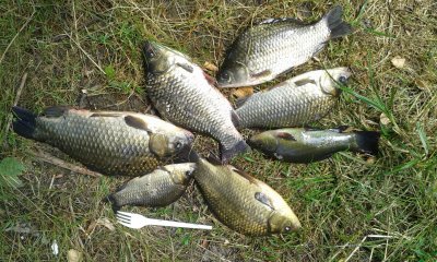 20170708_135902.jpg