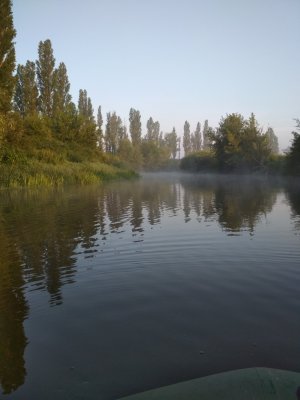 IMG_20170723_063352.jpg