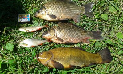 20170730_125911.jpg