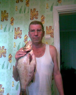 рыба.jpg