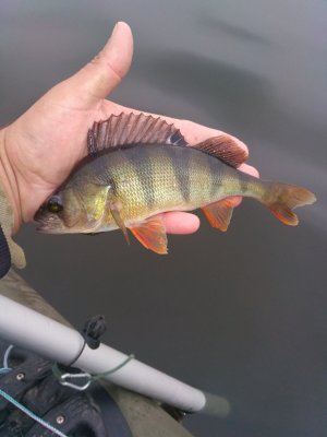 IMG_20170823_075904.jpg