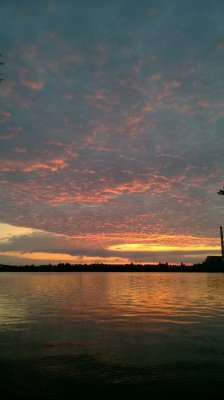 WP_20170825_05_43_40_Pro.jpg