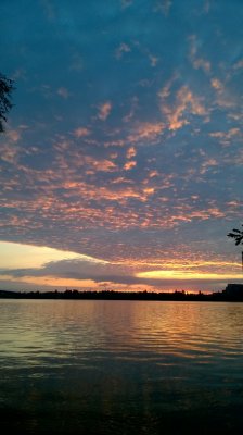 WP_20170825_05_46_48_Pro.jpg