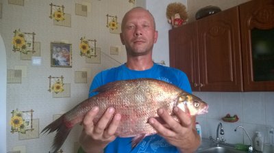 WP_20170825_14_12_47_Pro.jpg