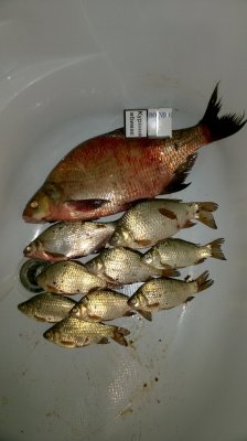 WP_20170825_14_14_50_Pro.jpg