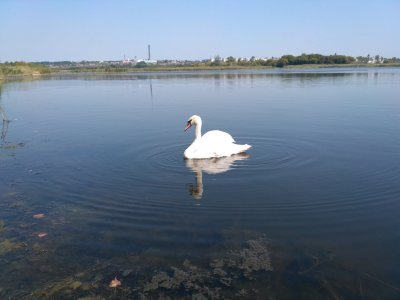 IMG_20170826_122736.jpg