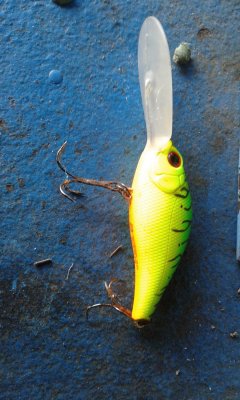 20170903_161232.jpg