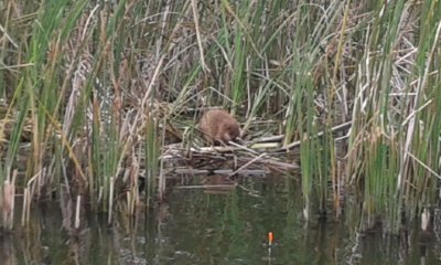 20170830_091851.jpg