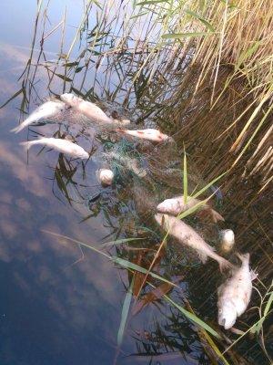 IMG_20170905_070848.jpg