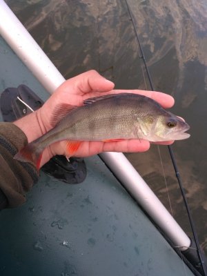 IMG_20170905_074039.jpg