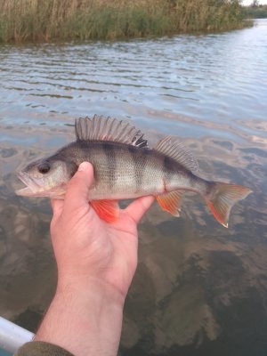 IMG_20170905_074620.jpg