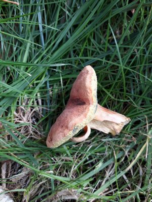 20170903_152713.jpg