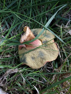 20170903_152725.jpg