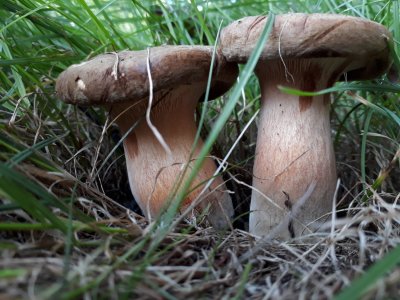 20170902_182636.jpg