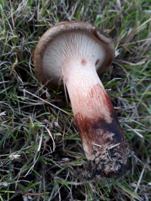 20170902_193411.jpg