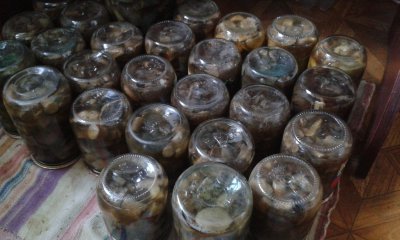 20170914_083721.jpg