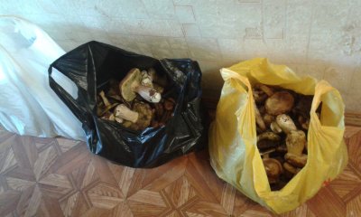 20170917_170802.jpg