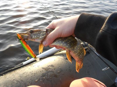 DSCN4375.JPG