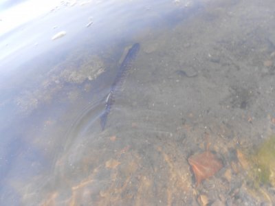 DSCN4371.JPG