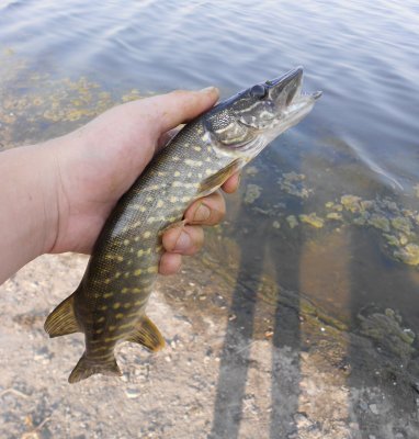 DSCN4370.JPG