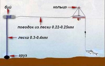 Кружок.jpg