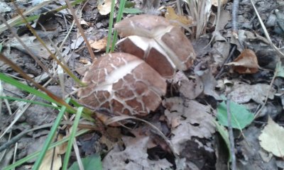 20170923_093843.jpg