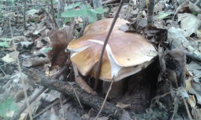 20170923_132611.jpg