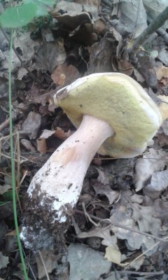 20170923_132654.jpg