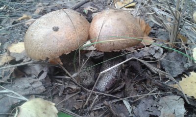 20170923_134347.jpg