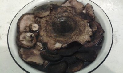 20170923_195729.jpg
