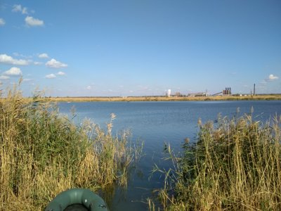 IMG_20171011_115251.jpg