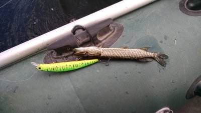 IMG_20171014_145030065.jpg