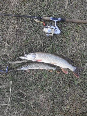 IMG_20171016_102309.jpg