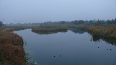 P1220049.JPG