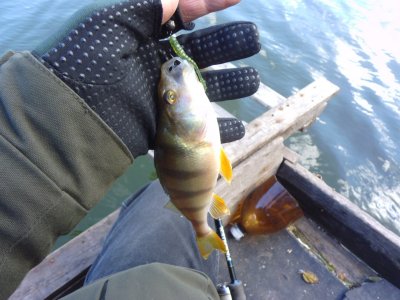 1-11-17-4.jpg