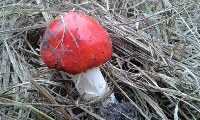 20171103_112014.jpg