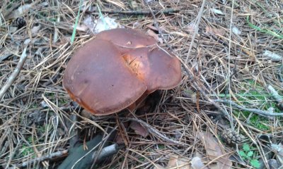 20171106_135105.jpg