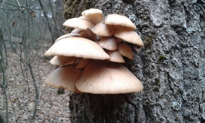 20171107_114750.jpg