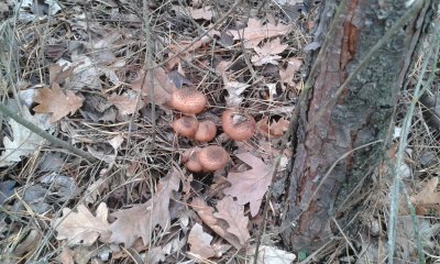 20171107_131300.jpg