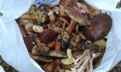 20171106_152112.jpg