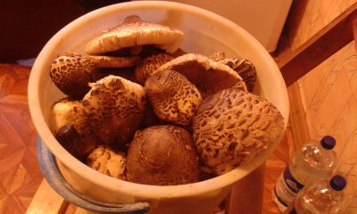 20171107_153725.jpg