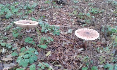 20171111_132426.jpg