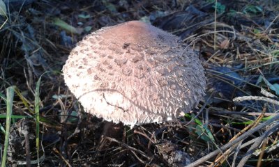 20171111_123423.jpg