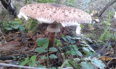 20171111_130106.jpg