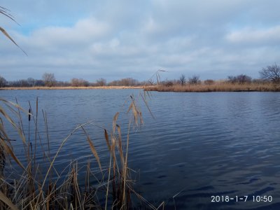 IMG_20180107_105021.jpg